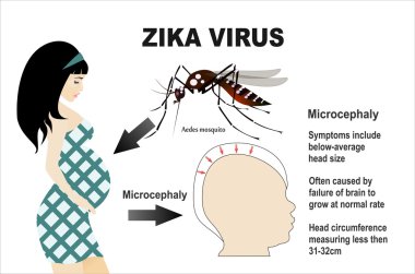 Anormal küçüklük kafa kavramı