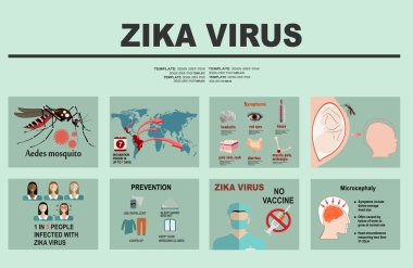 Zika virüs Infographic öğeleri