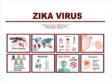 Zika virüs tasarım şablonu.