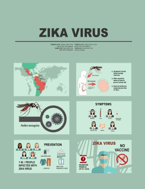 Zika virüs Infographic öğeleri