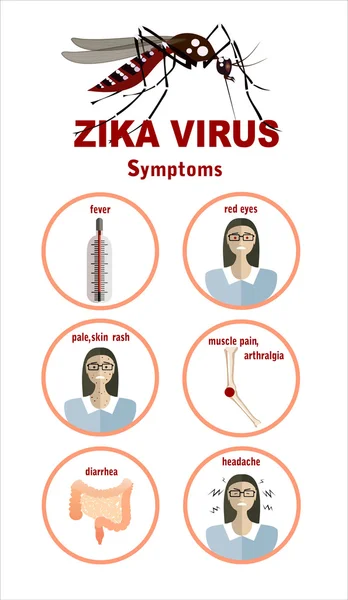 Zika viruset symtom — Stock vektor