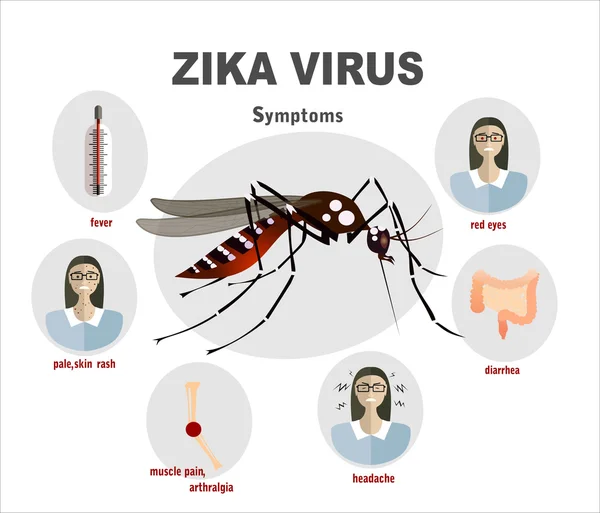 Zika viruset symtom — Stock vektor