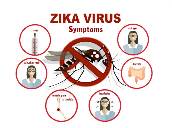 Sintomas do vírus Zika — Vetor de Stock