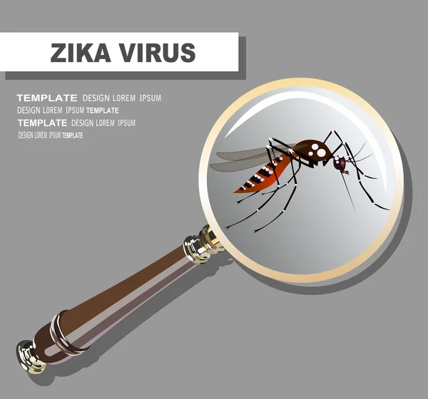 Spread of zika and dengue virus — Wektor stockowy