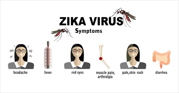 Zika viruset symtom — Stock vektor