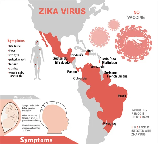 Zika 病毒症状与地图信息的图表 — 图库矢量图片