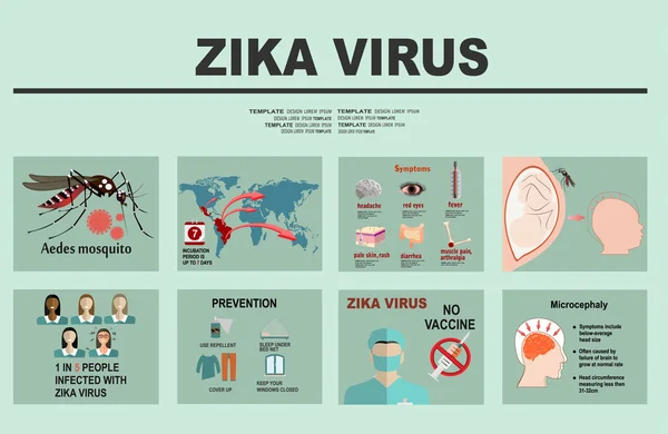 Zika wirus infographic elementów — Wektor stockowy