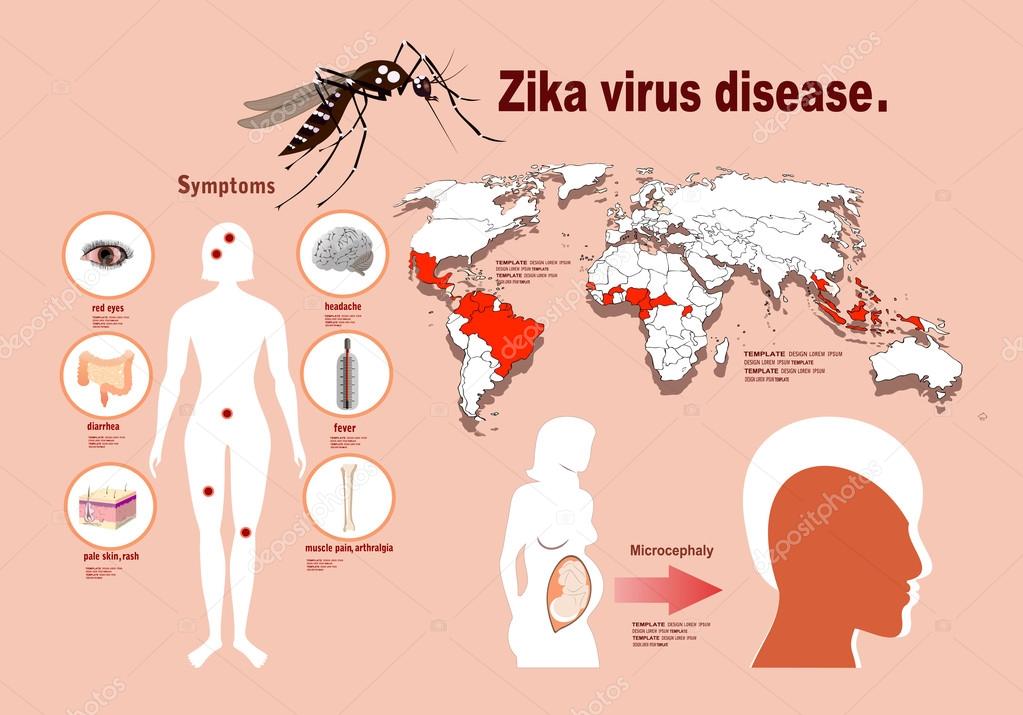 Zika virus symptoms infographics with map — Stock Vector © mitay20