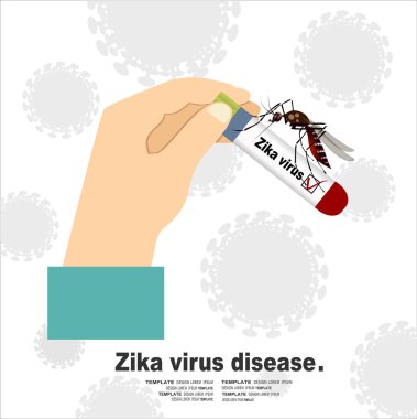 Kan örneği Zika virüs ile