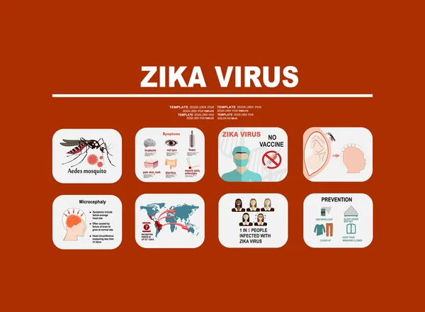 Zika 바이러스 infographic 요소 — 스톡 벡터