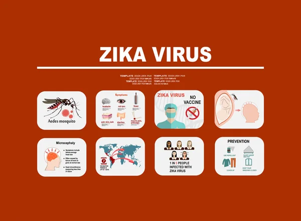 Zika vírus infographic elemek Vektor Grafikák