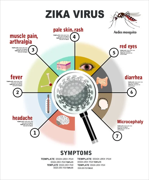 Zika virüs belirtileri — Stok Vektör