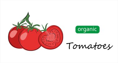 Domates vektör çizimi. Harfli organik domatesli sanat çizimi.