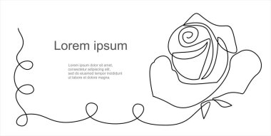 Gül çiçeği aralıksız çizgi çiziyor. Logo, amblem, slayt gösterisi ve afiş için kullanılabilir.