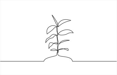 Tek bir çizgili sanat filizleniyor. Bitki yaprakları tohum yetiştirir toprak tohumu tohumu eko doğal tarım konsepti tasarlar bir çizim çizimi vektör çizimi