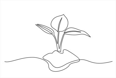 Tek bir çizgili sanat filizleniyor. Bitki yaprakları tohum yetiştirir toprak tohumu tohumu eko doğal tarım konsepti tasarlar bir çizim çizimi vektör çizimi