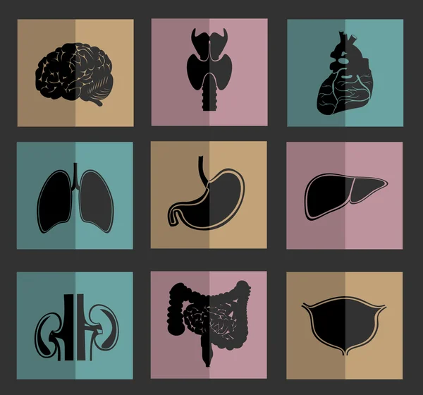 Иконы человеческих органов — стоковый вектор