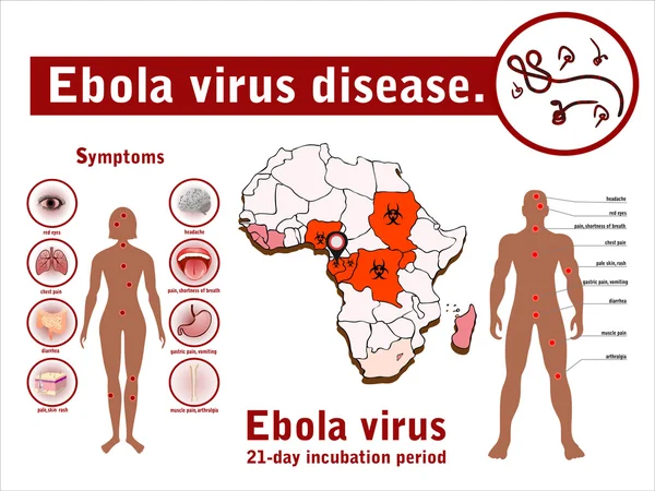 Infographie de la maladie à virus Ebola — Image vectorielle