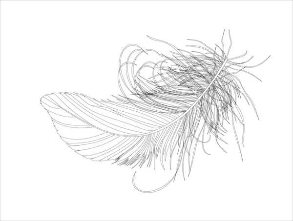 Zwarte omtrek Feather — Stockvector