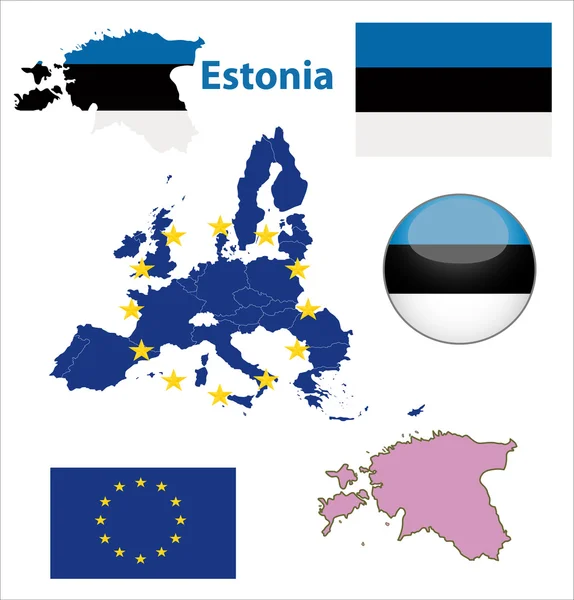 Estonia Bandera botón brillante — Archivo Imágenes Vectoriales