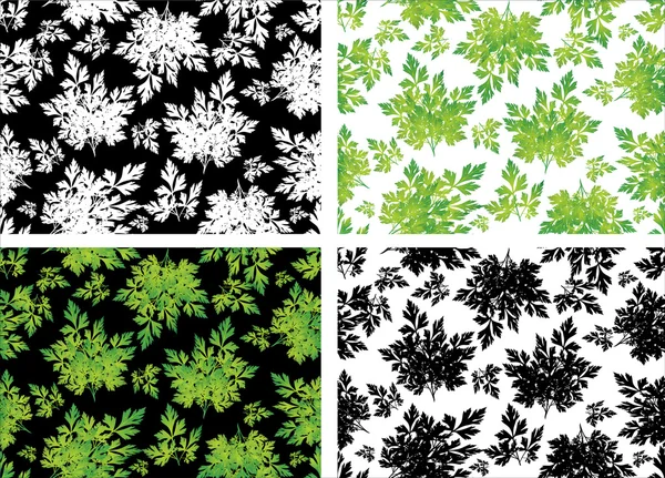 Patrón de hojas de perejil — Archivo Imágenes Vectoriales