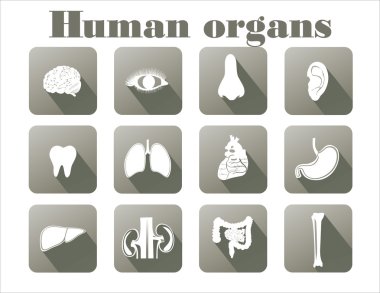 insan organlarını simgeleri