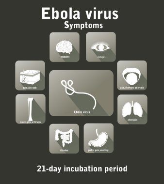 Ebola virüs hastalık.