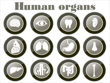 insan organlarını simgeleri