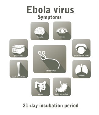 Ebola virüs hastalık.