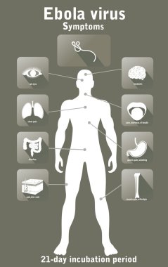 Ebola virüs hastalık.