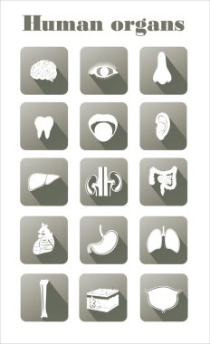 insan organlarını simgeleri
