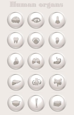 insan organlarını simgeleri