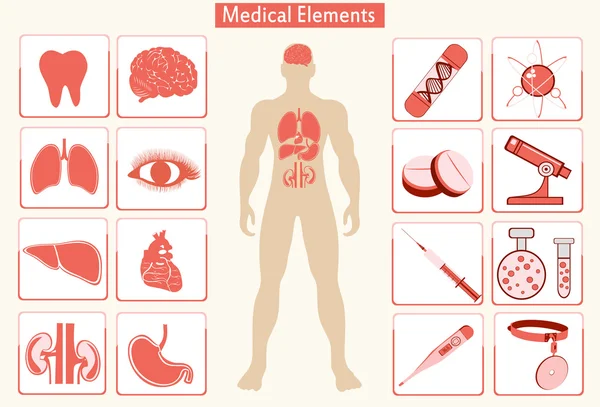 Ícones de órgãos humanos — Vetor de Stock