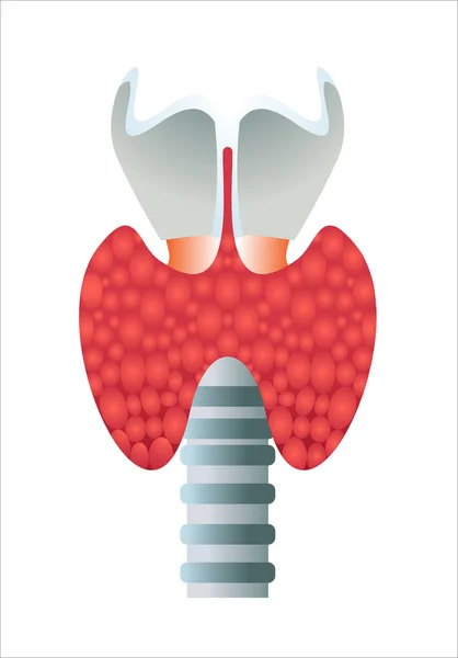 Icônes des organes humains — Image vectorielle