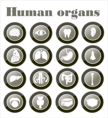 insan organlarını simgeleri