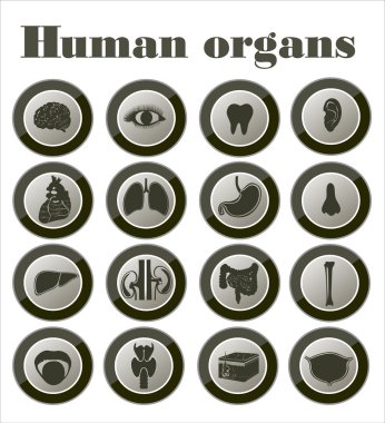 insan organlarını simgeleri