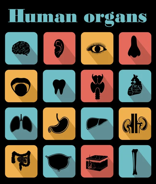 Icone di organi umani — Vettoriale Stock