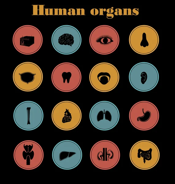 Icônes des organes humains — Image vectorielle