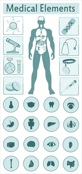 Icônes des organes humains — Image vectorielle