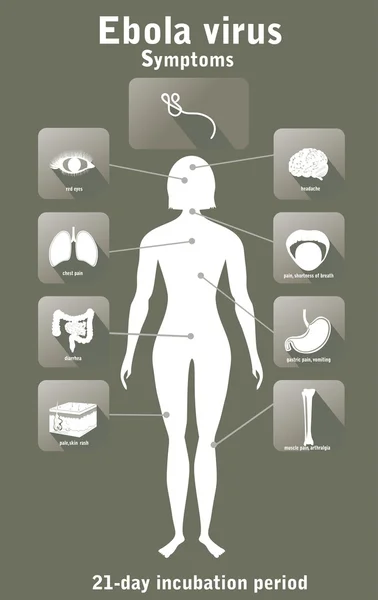 Icônes des organes humains — Image vectorielle