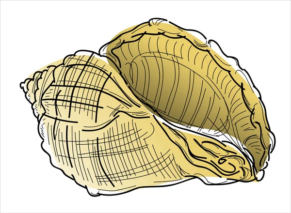 Conchiglia marina astratta — Vettoriale Stock