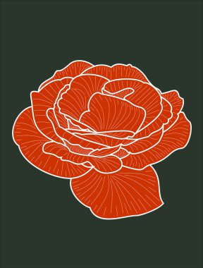 Gül çiçek şablon