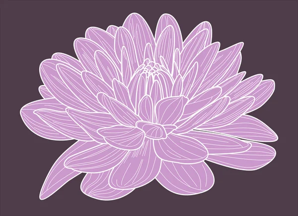 Crisantemo fiore stencil — Vettoriale Stock
