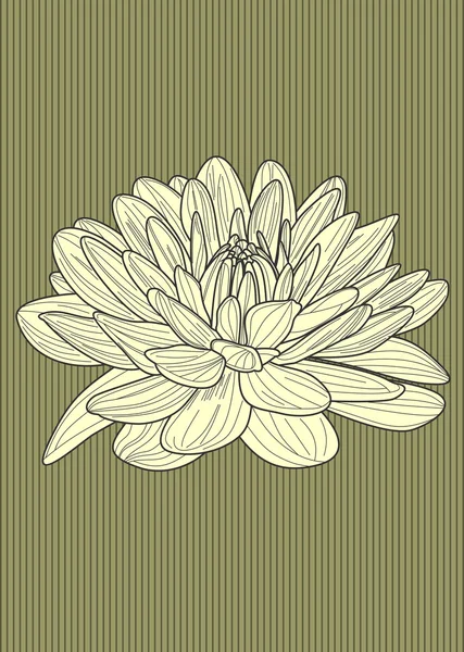 Chrysant bloem stencil — Stockvector