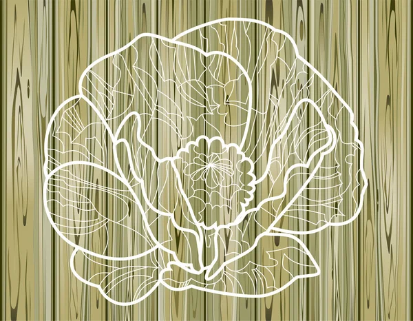 Poppy flower stencil — Stock Vector