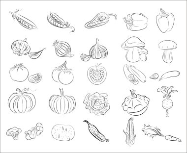 elle çizilmiş sebze Icons set