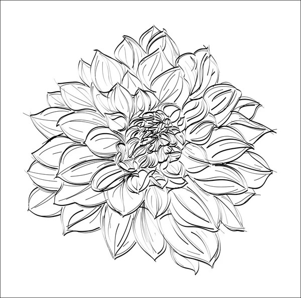 Blumen Schablone — Stockvektor © kristino0702 #6908698