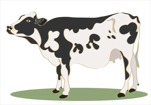 Vaca manchada blanca y negra — Vector de stock