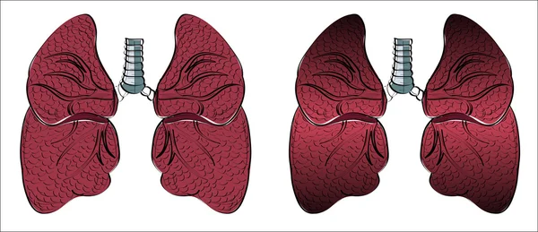 Organi umani icona dei polmoni — Vettoriale Stock