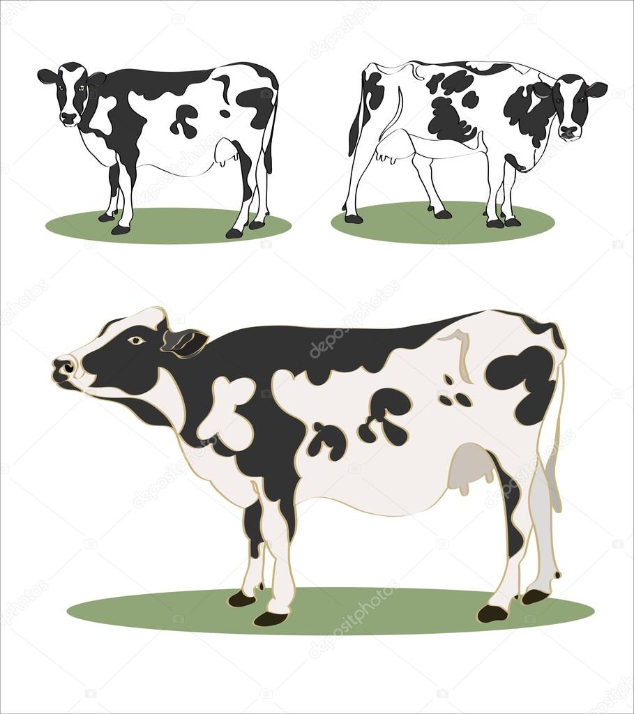 最高の動物画像 最高牛 イラスト リアル